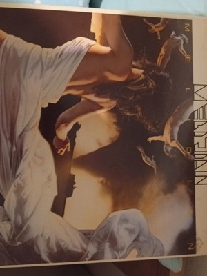 Melidian Lost In The Wild vinyl record used, hard rock, 1989 first European edition