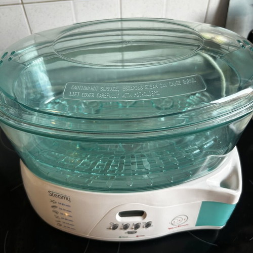Steamy Izzy Moulinex steamer, new