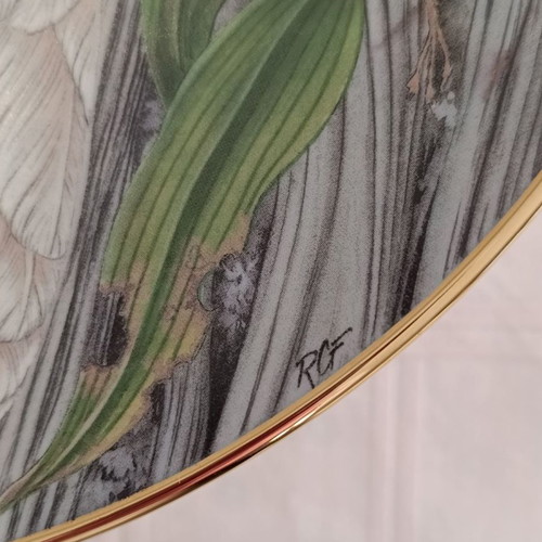 Collectible plates used, set of 5, tropical parrots, Kaiser W. Germany