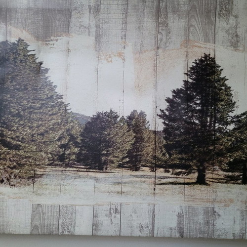 Painting snowy landscape with mountains and trees