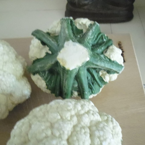 Gypsum cauliflower new, pack of 4 for decoration