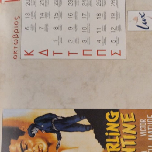 1996 TV Ethnos calendar collectible like new