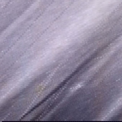 Φανέλα εμφάνιση Ιαπωνίας S