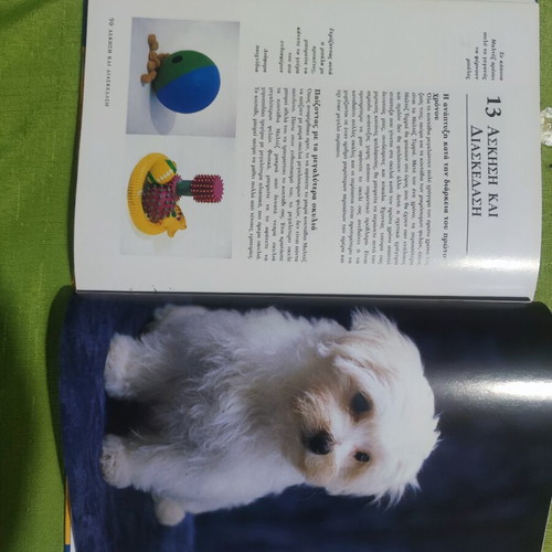 Maltese book used, care guide in Greek