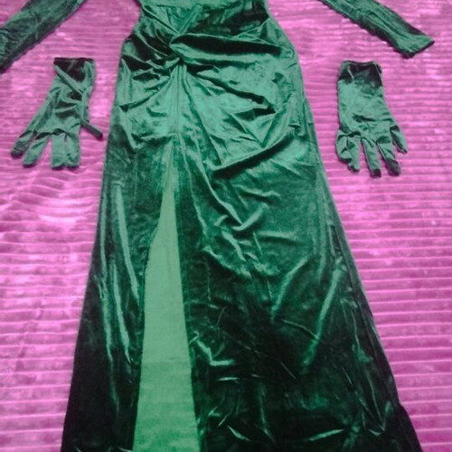 Velvet dress green cypress one size new with gloves