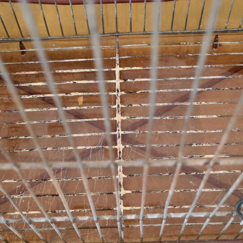 Birdcage used, small size with bottom grate