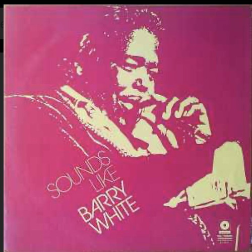Robin Bott Beatt International Orchestra Sounds Like Barry White vinyl like new