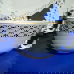  Σερβίτσιο τσαγιού Τσεχίας