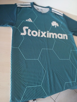 Panathinaikos 23/24 first kit used, size 15-16 years