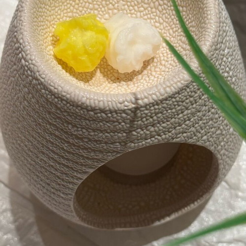 Wax Melts Popcorn 40gr made to order with scent and color options