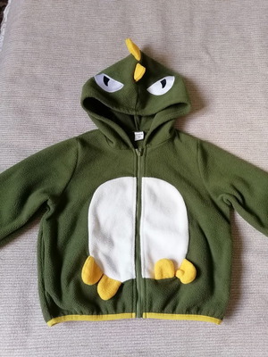 Hooded sweatshirt for 4-year-old boys