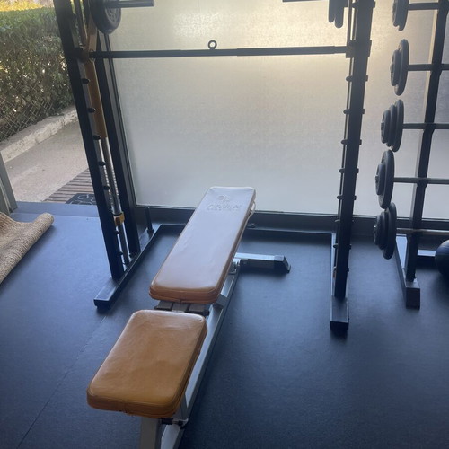 Gym Multi-Station with Adjustable Bench used