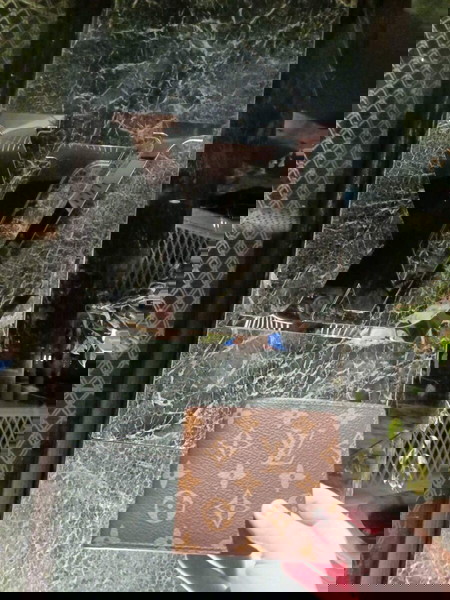 LOUIS VUITTON WALLET