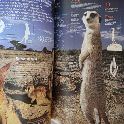 Atlas of Sciences Mammals book like new