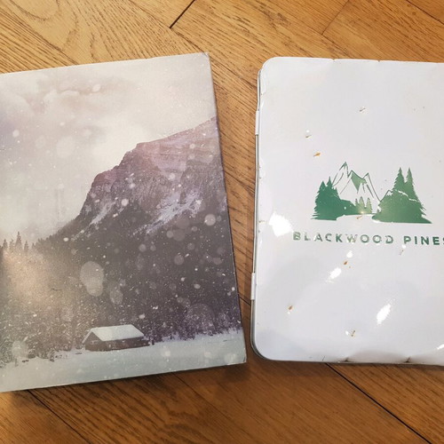 Until Dawn press kit like new