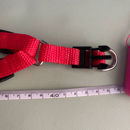 Simple red dog harness new, adjustable 1.5 cm width