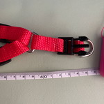 Simple red dog harness new, adjustable 1.5 cm width
