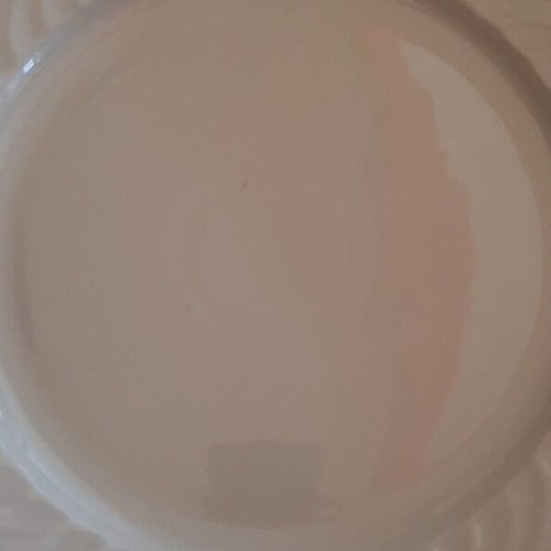 Vintage Bavarian Porcelain Platter like new