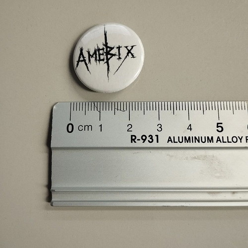 Crust Punk Amebix Pin new