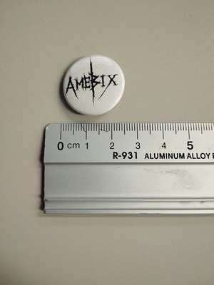 Crust Punk Amebix Pin new