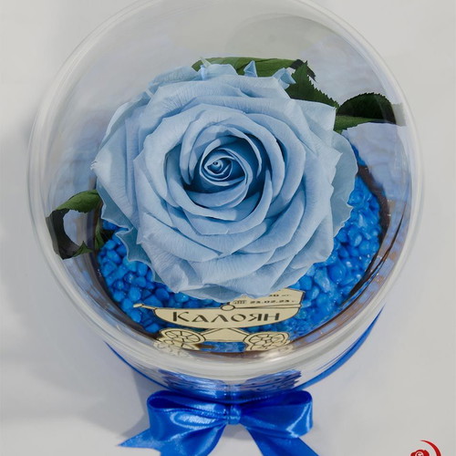 Light Blue Eternal Rose in Glass Dome made to order