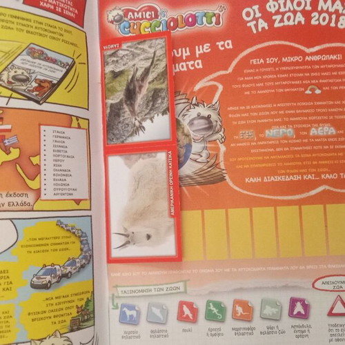 Panini Album Our Friends the Animals 2018 like new
