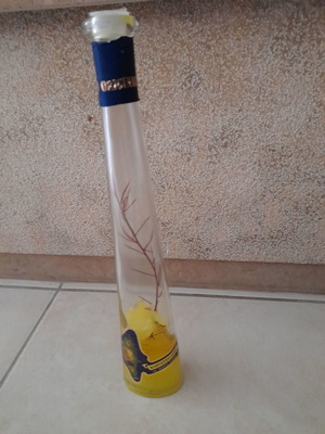 Μπουκάλι με κοριαντόλινο μεταχειρισμένο, original