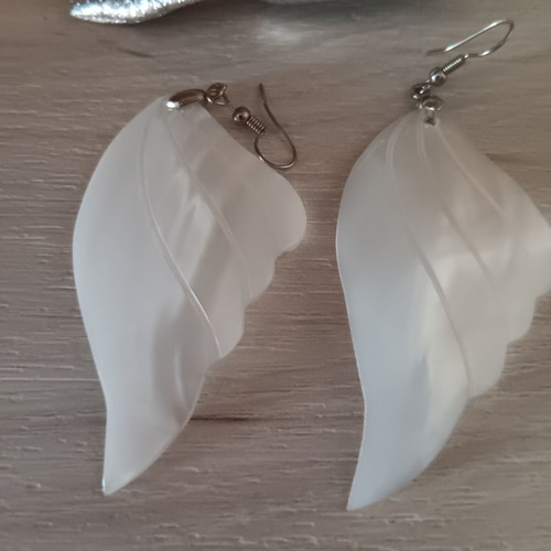 Earrings pair new with case silver
