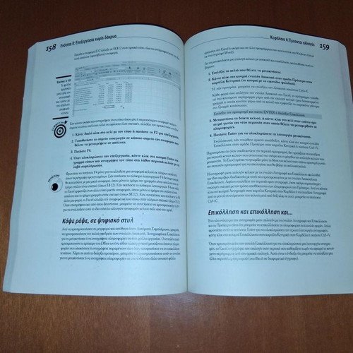 Microsoft Office Excel 2007 for Beginners book by Greg Harvey