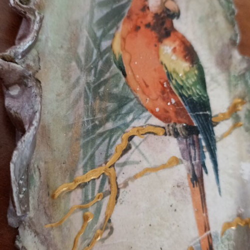 Handmade plaster frame parrot like new
