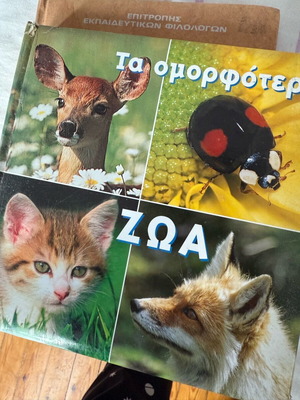 Animal book for children like new