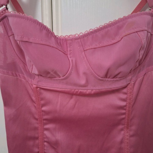 Denny Rose pink corset like new