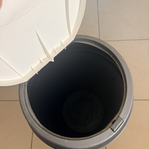 Trash bin with push button lid
