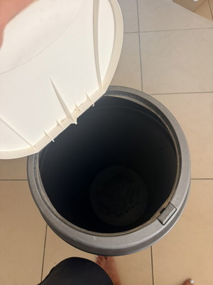 Trash bin with push button lid
