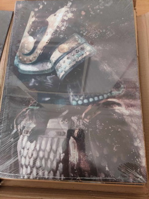 Displate Warrior Samurai new