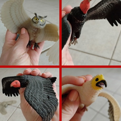 Set of 4 used wild rubber birds for sensory play