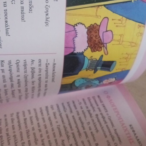 The Cook of the Enchanted Circus book like new