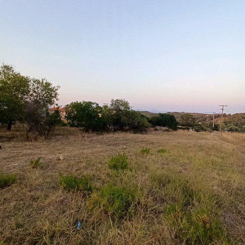 Land 800 m² in Paliouri Halkidiki with caravan placement option