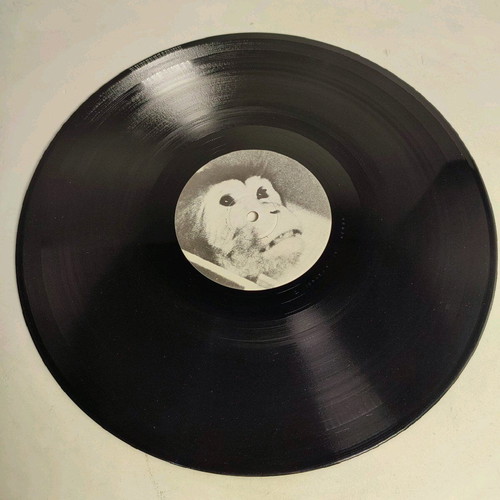 Robert Wyatt The Animals Film vinyl like new, 1982, collectible