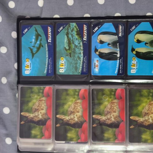 Phone cards, pack of 48