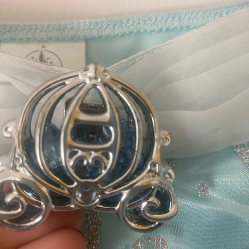 Cinderella costume from Disneyland worn for 2-3 hours
