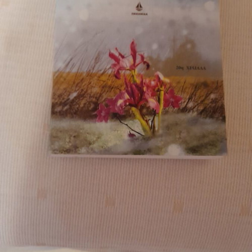 Rosemary Piltser The Carousel book
