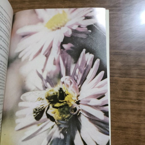 Beekeeping old edition used with wear