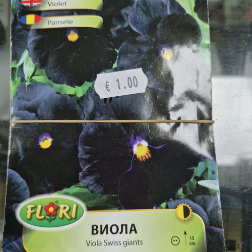 Petunia new seeds with great variety