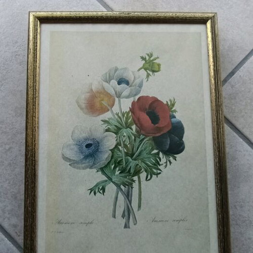 Flower frames set of 8, like new, 24x31.5 cm