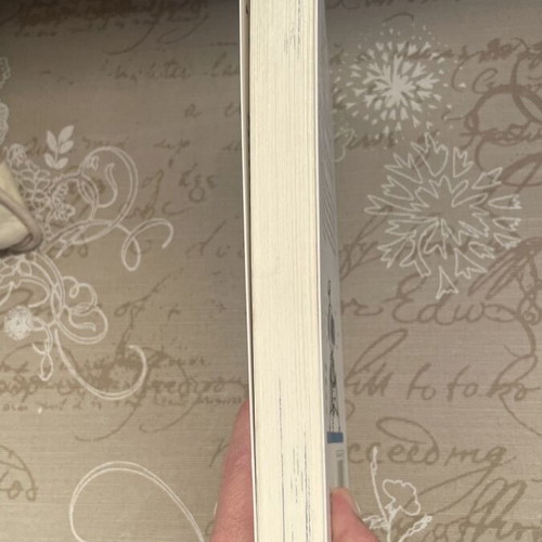 Sapio Feggari book by Sally Gardner new, Psychogios editions