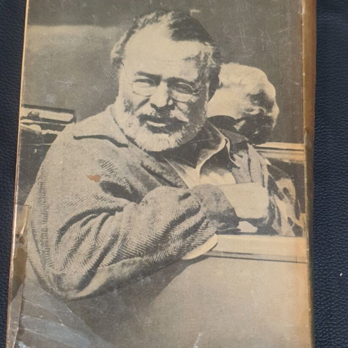 Der Alte Mann und das Meer book used, German language