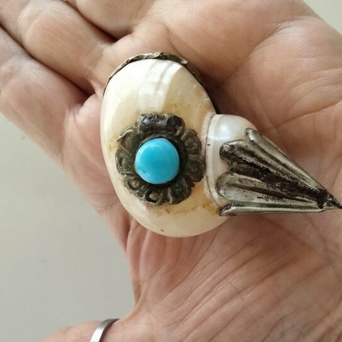 Vintage Tibetan Ritual Shell 7cm with Turquoise and Civet, like new