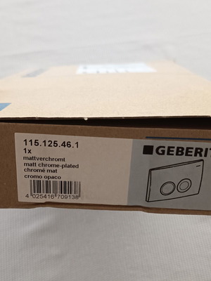 Geberit Delta 21 Matt Chrome flush plate