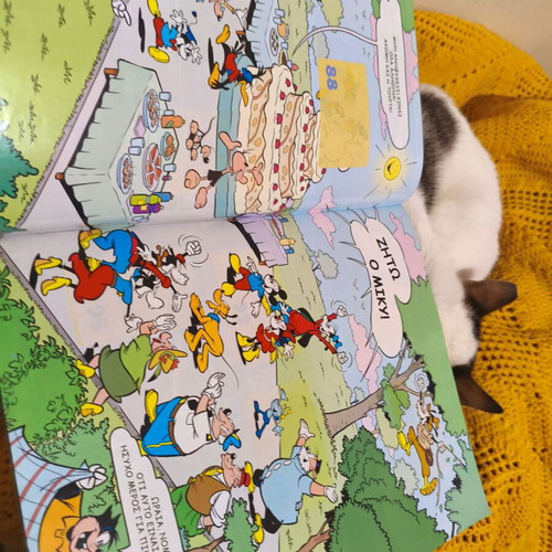Panini album used Mickey Mouse Sticker Story